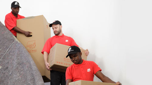 Movers going down stairs with boxes